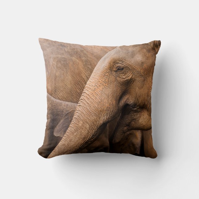 Elefantfamilj: Majestic Wildlife Kudde (Framsida)