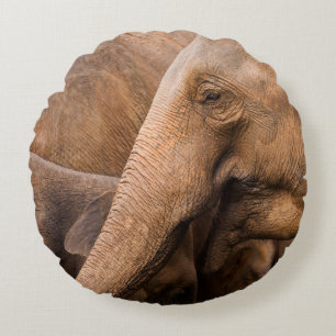 Elefantfamilj: Majestic Wildlife Rund Kudde