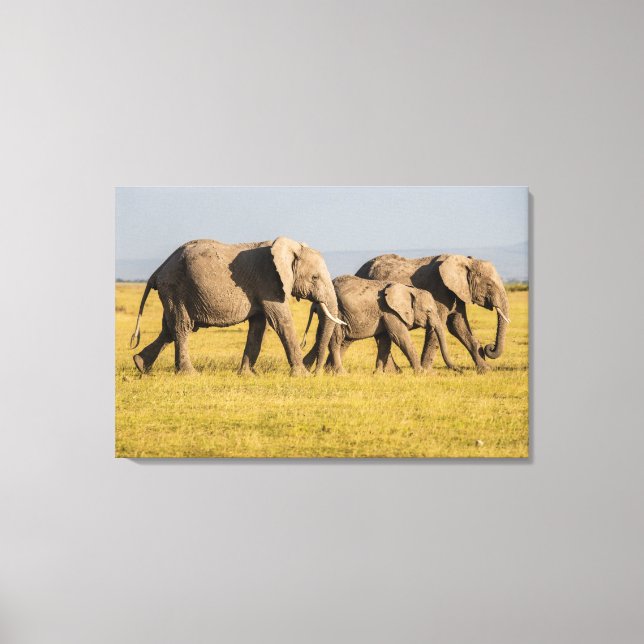 Elefantfamilj promenerar canvastryck (Framsida)