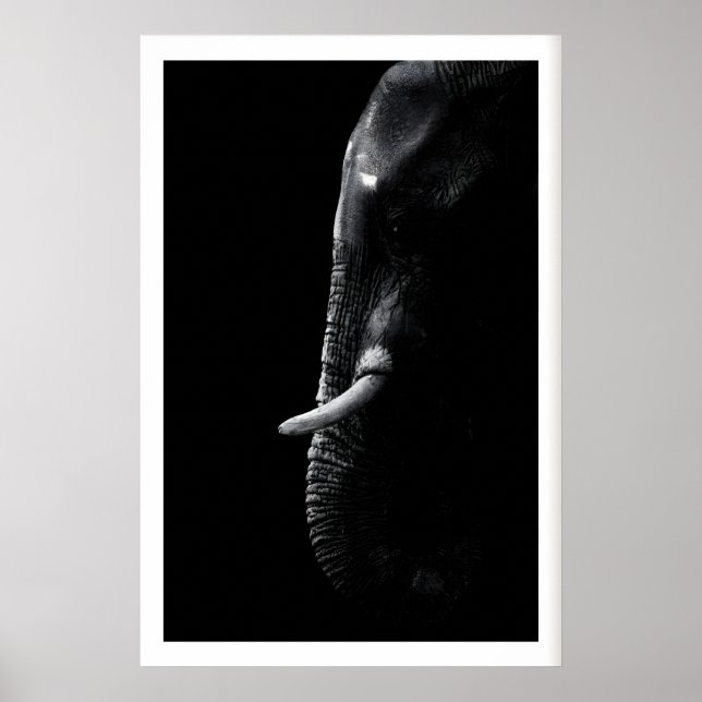 Elefantfotografi Minimalistisk Safari-konst Poster (Framsidan)