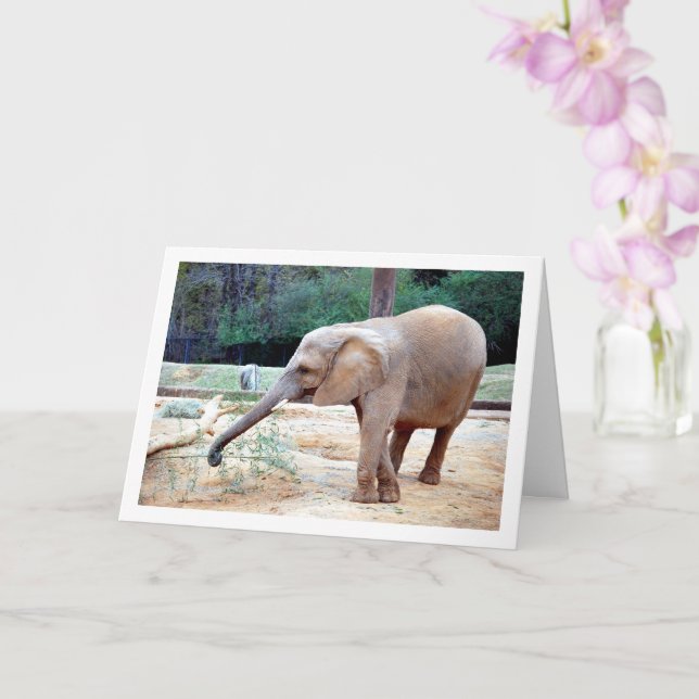 Elefanti i parken Porträtt Kort (Orkide)