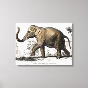 Elefantillustration Vintage konsttryck Canvastryck