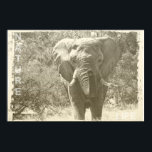 elefantknölart bild poster<br><div class="desc">elefantknölart bild</div>