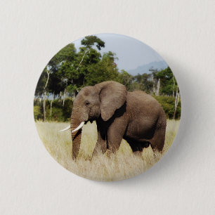 ElefantMasai Mara, det Kenya emblem knäppas Knapp