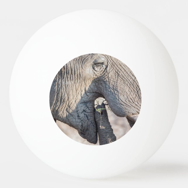 Elefantmatande Pingisboll (Baksidan)