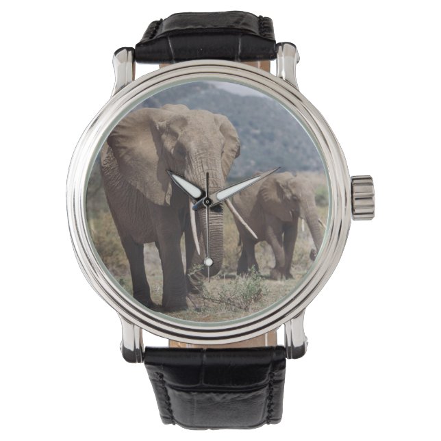 Elefantmoder som går med elefantkalv armbandsur (Framsida)