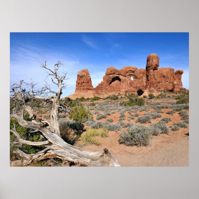 Elefantparad i Arches nationalpark Poster (Framsidan)