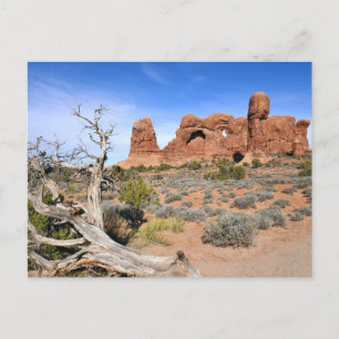 Elefantparad vid Arches nationalpark Vykort