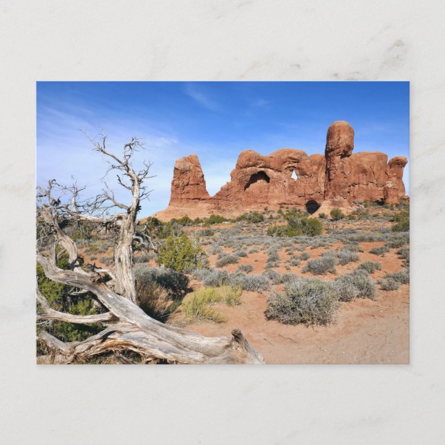 Elefantparad vid Arches nationalpark Vykort (Framsida)