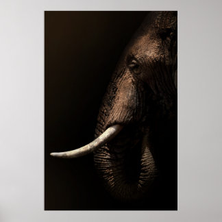 Elefantprofil Poster