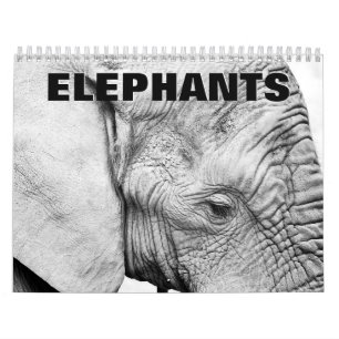Elefants 2022 Wall Calendar Kalender