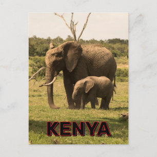 Elefants Grazing in Kenya Vykort