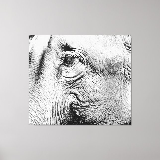 Elefants Öga, 2017 Canvastryck (Framsida)