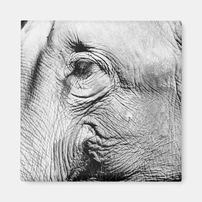 Elefants Öga, 2017 Magnet (Framsidan)