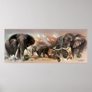 Elefantsamling Poster