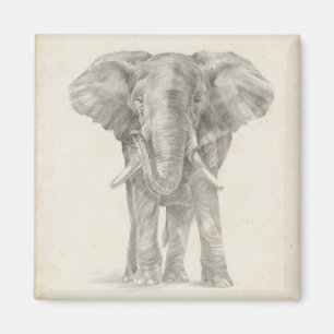 Elefantsketch Magnet