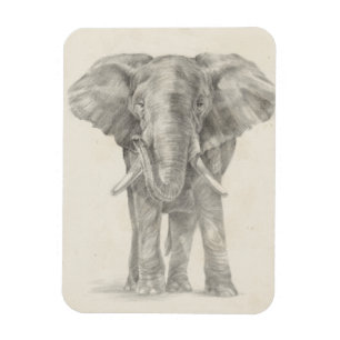 Elefantsketch Magnet