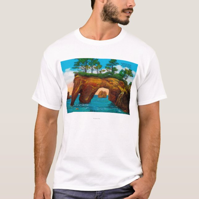 Elefantsten på den Washington kusten Tee Shirt (Framsida)
