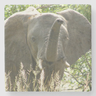 Elefantstensstenen Underlägg (fullt färg)