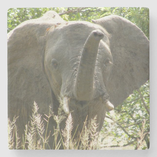 Elefantstensstenen Underlägg (fullt färg) (Framsidan)