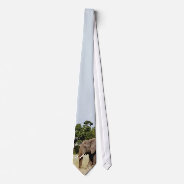 Elefantties Slips (Framsida)