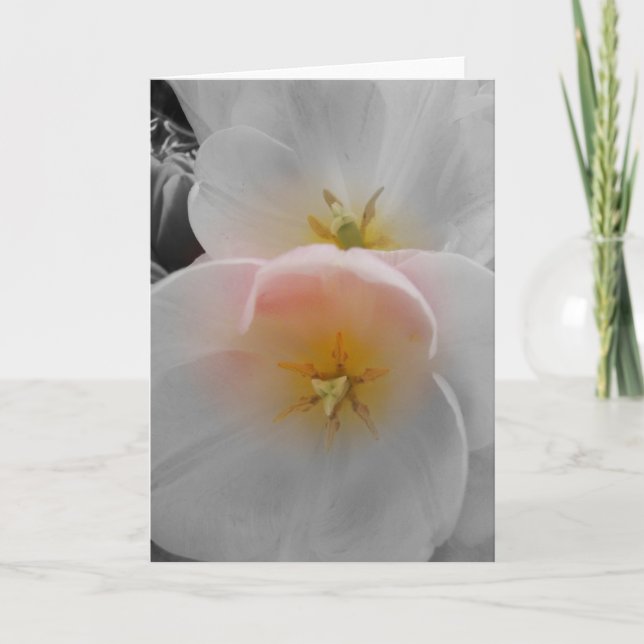 Elegance Kort (Framsida)