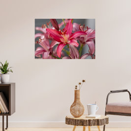  Elegance: Rosa Asiatic Lily Flower Photo Poster