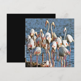 Elegans av konstgjord Rosa Flamingos Inbjudningar