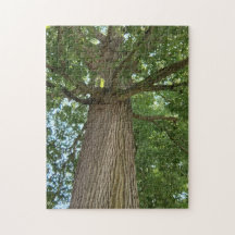 Elegans från uppåt ovan