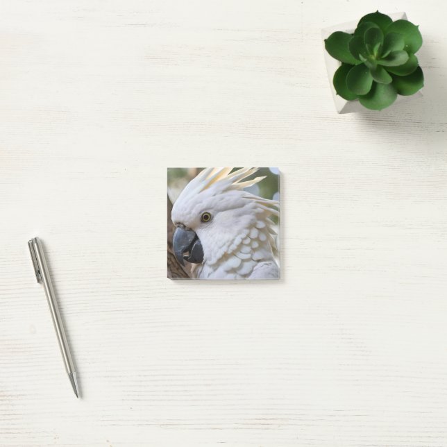 Elegans i vitt: Den majestätiska australiensiska k Post-it Block (Kontor)