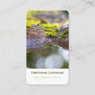 Elegant 100 % naturlig trädgårdsdamm av ekologisk visitkort