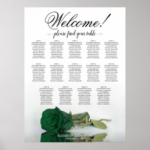 Elegant 14 Bord Emerald Grönt Ro Sittdiagram Poster