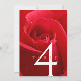 Elegant 15:e 26:e 36:e årsdagen för Bröllop i Ro Inbjudningar