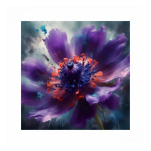 Elegant Anemone Flower