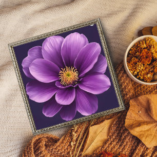 Elegant Anemone Fototryck