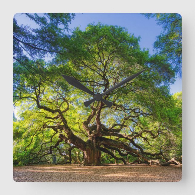 Elegant Angel Oak Träd Fyrkantig Klocka (Framsida)