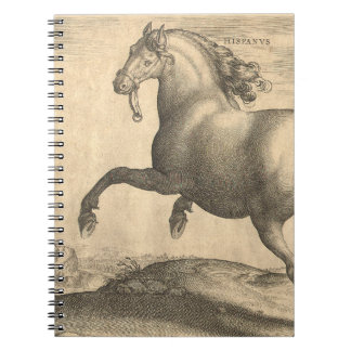 Elegant antik gravyr av den spanska hästen anteckningsbok