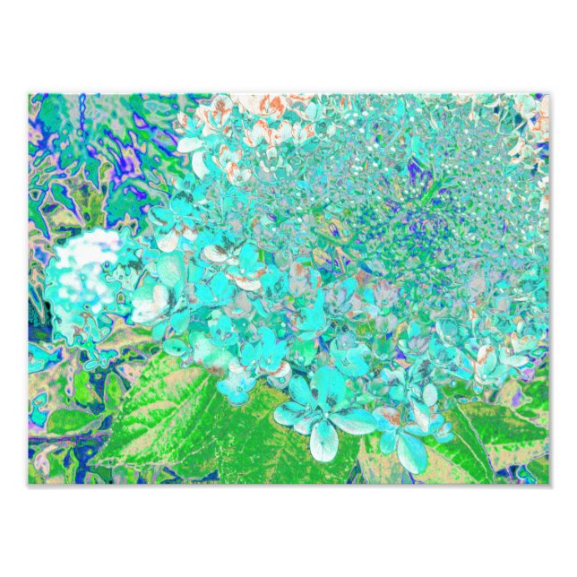 Elegant Aqua och Grönt Limelight Hydrangea Detail Fototryck (Framsidan)