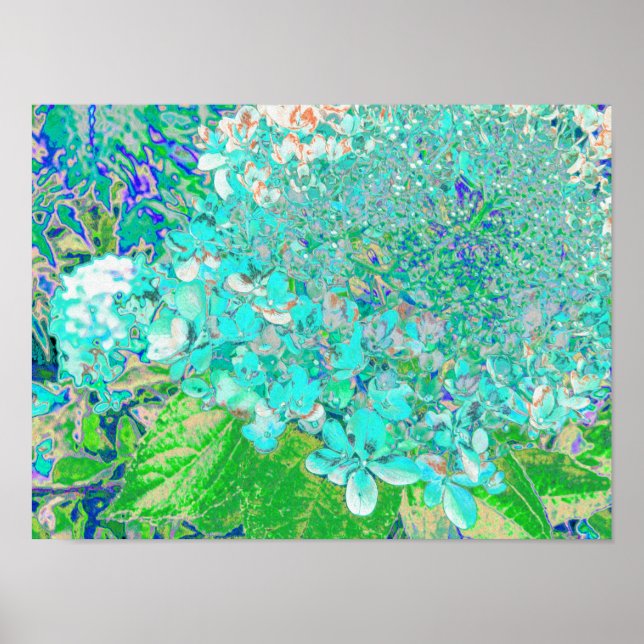 Elegant Aqua och Grönt Limelight Hydrangea Detail Poster (Framsidan)