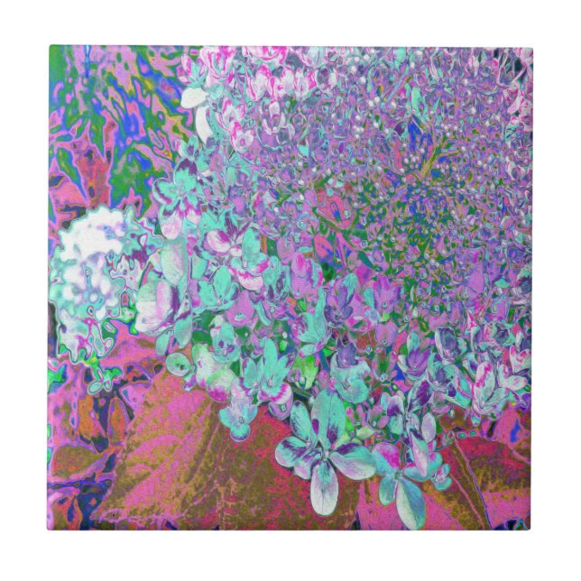 Elegant Aqua och Lila Limelight Hydrangea Detail Kakelplatta (Framsidan)