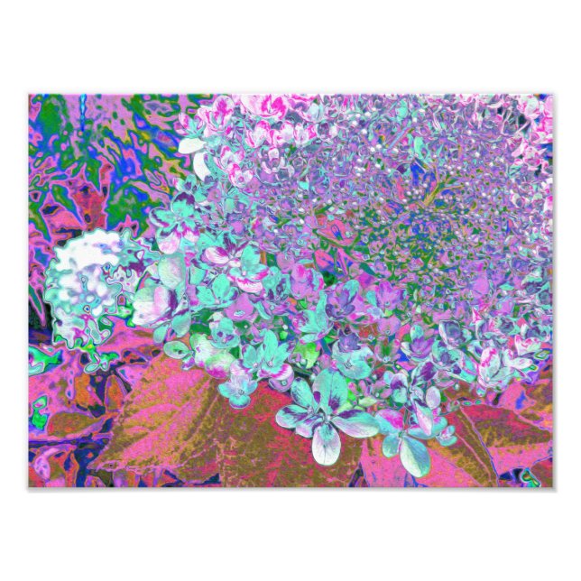 Elegant Aqua och Purple Limelight Hortensia detalj Fototryck (Framsidan)