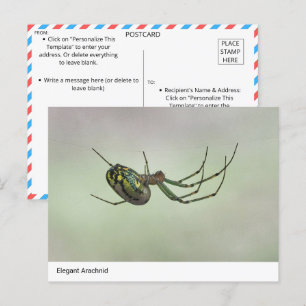 Elegant Arachnid - Naturens konstnärliga evavare P Vykort