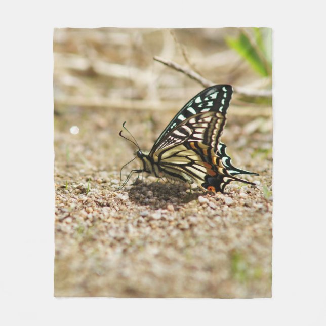 Elegant Asian Swallowtail Butterfly - Detailed Mac Fleecefilt (Framsidan)