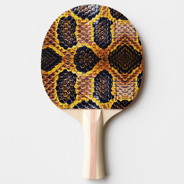elegant av mjuk sköldpadda pingisracket (Framsidan)