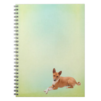 Elegant Basenji Dog Notebook Anteckningsbok