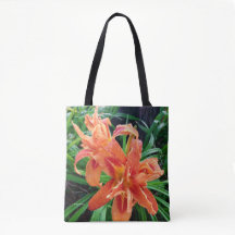 Elegant Bedeved Orange Dubbla Flowered Daylilies