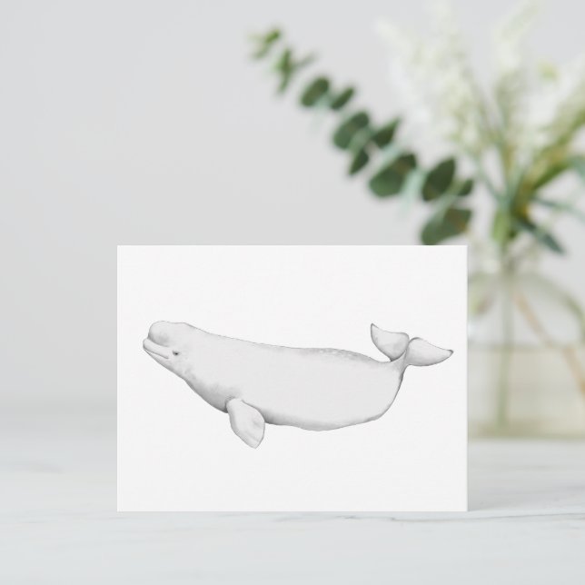 Elegant Beluga Whale Bok Illustration Vykort (Stående Fram)