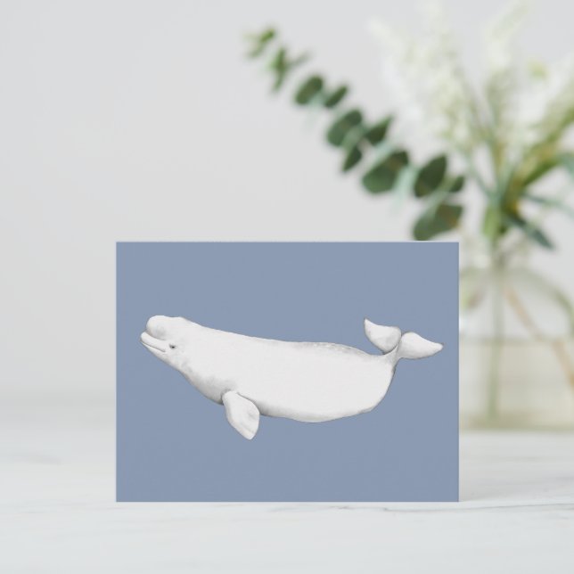 Elegant Beluga Whale Bok Illustration Vykort (Stående Fram)