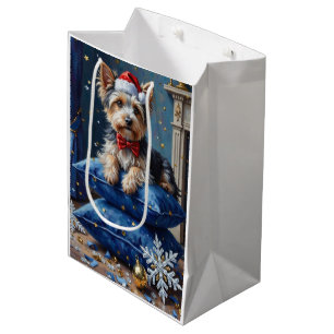 Elegant Biewer Terrier Hund Velvet Jul
