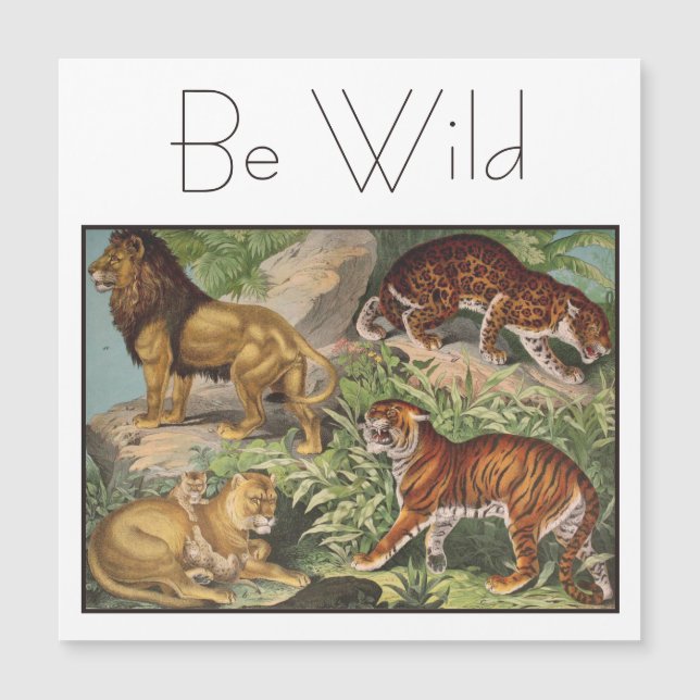 Elegant Big Cat Lejon Tigers, Leopards Vintage (Framsida)